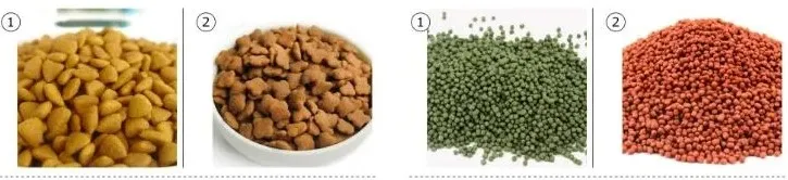 20251017165032 20251017165032