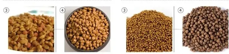 20251017165036 20251017165036