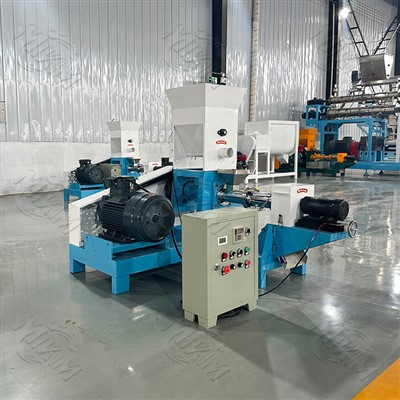 Mini Fish Feed Machine